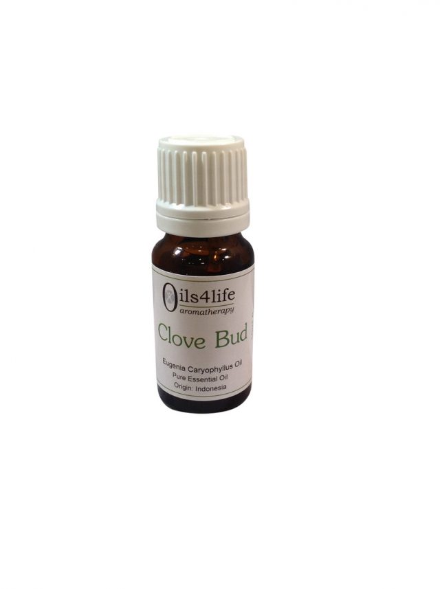 Healing Light Online Psychic Readings and Merchandise Essential Oil Clove Bud by Oils4life