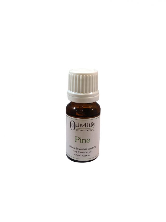 Healing Light Online Psychic Readings and Merchandise Essential Oil 10ml pine by Oils4life