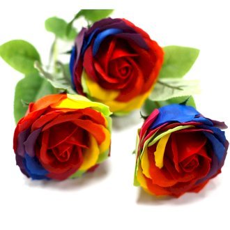 Healing Light Online Psychic Readings and Merchandise Rainbow Rose Soap Flower from Ancient Wisdom
