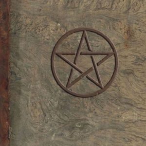 Healing Light Online Psychics Magical Journal for sale
