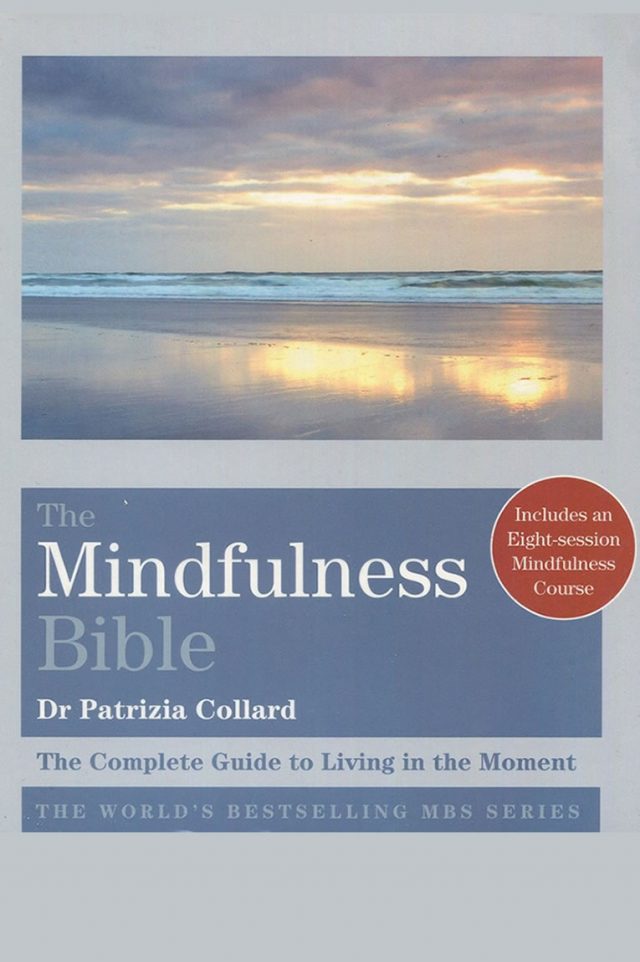 Healing Light Online Psychics Mindfulness Bible – The Complete Guide to Living in the Moment (Godsfield Bible Series) by Patrizia Collard book for sale