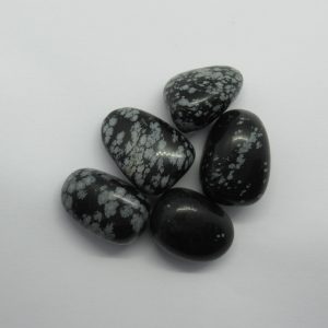 Healing Light Online Psychic Readings and Merchandise Snowflake Obsidian