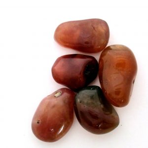 Healing Light Online Psychics New Age Shop Merchandise Carnelian Tumblestone