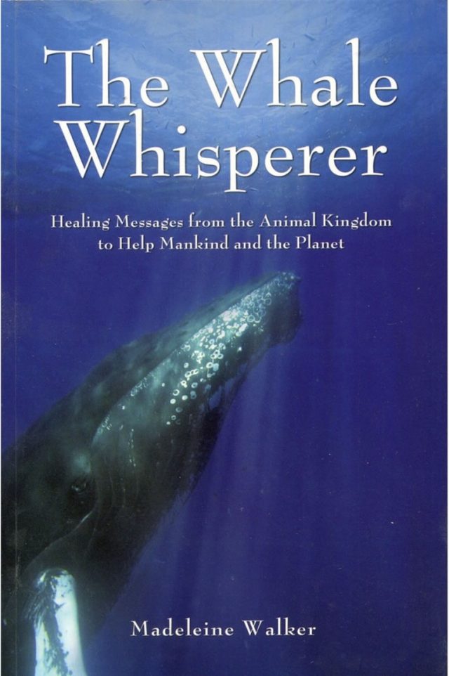 The Whale Whisperer by Madeleine Walker