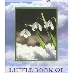 Healing Light Online Psychics White Eagle Little Book of Healing Comfort for sale