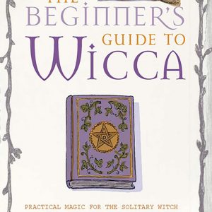 Healing Light Online Psychics Wicca The Begginers Guide by Kirsten Riddle for sale