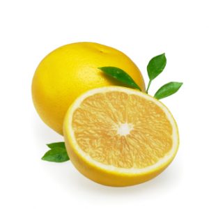 Healing Light Online Psychic Readings and Merchandise Organic White Grapefruit Essential Oil 10 ml by Oils4life