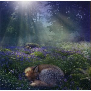 Healing Light Online Psychic Readings and Merchandise Blue Bell dawn Blank Greeting Card by Angie Latham