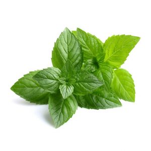 Healing Light Online Psychic Readings and Merchandise organic Peppermint Essential Oil by Oils4life