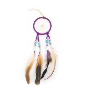 Healing Light Online Psychic Readings and Merchandise Purple Dream Catcher