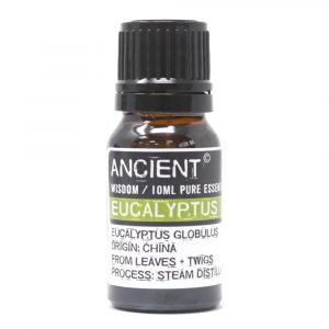 Healing Light Online Psychic Readings and Merchandise Ancient Wisdom essencial Oil Eucalyptus
