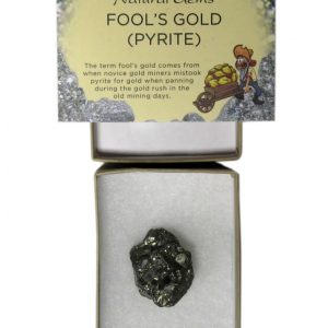 Healing Light Online Psychic Readings and Merchandise Fools Gold in gift box