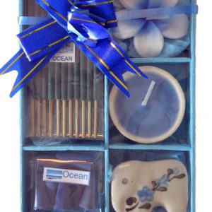 Healing Light Online Psychic Readings and Merchandise Blue ocean incense gift set