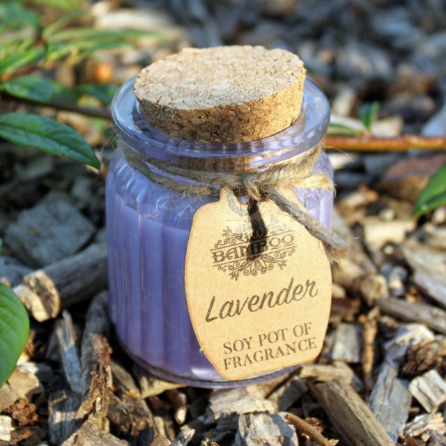Healing Light Online Psychic Readings and Merchandise Soy Pot candle Lavender