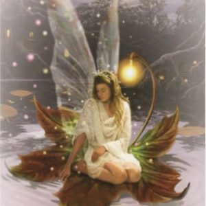 Healing Light Online Psychic Readings and Merchandise blank card Lily Pad Fairy