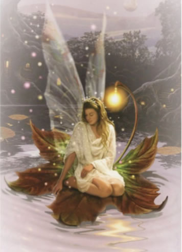 Healing Light Online Psychic Readings and Merchandise blank card Lily Pad Fairy