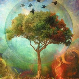 Healing Light Online Psychic Readings and Merchandise Tree of Life Greeting Card