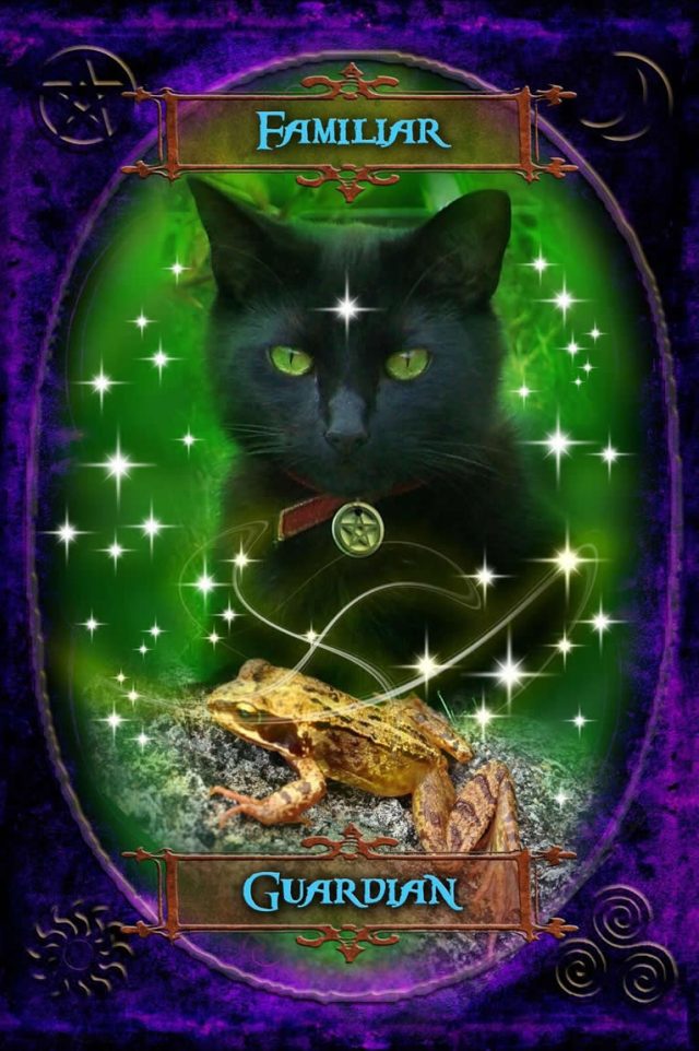 Healing Light Online Psychic Readings and Merchandise Witches Wisdom Oracle cards Familiar image