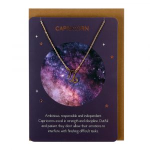 Healing Light Capricorn Zodiac Necklace Card Photo