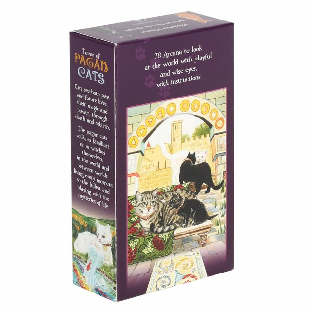 Healing Light Pagan Cats Tarot Cards Photo 2