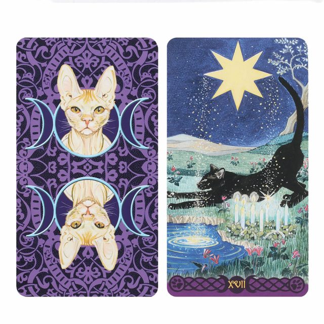 Healing Light Pagan Cats Tarot Cards Photo 3