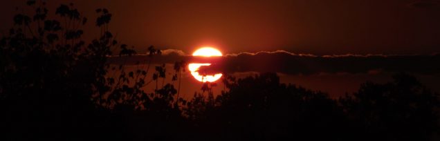 Healing Light, Finding Your Destiny: Unlocking the Path to Your Purpose Main photograph