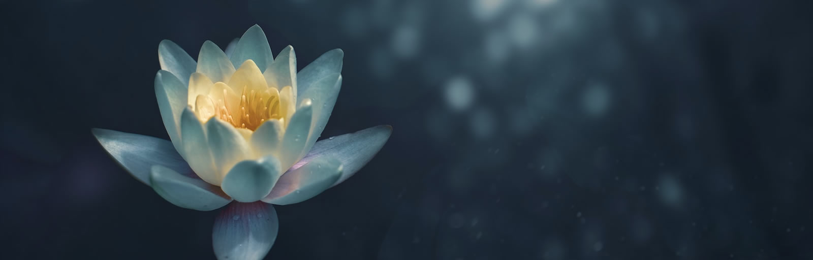 Healing Light, Mindfulness and Meditation: Enhancing Your Well-Being Main photograph