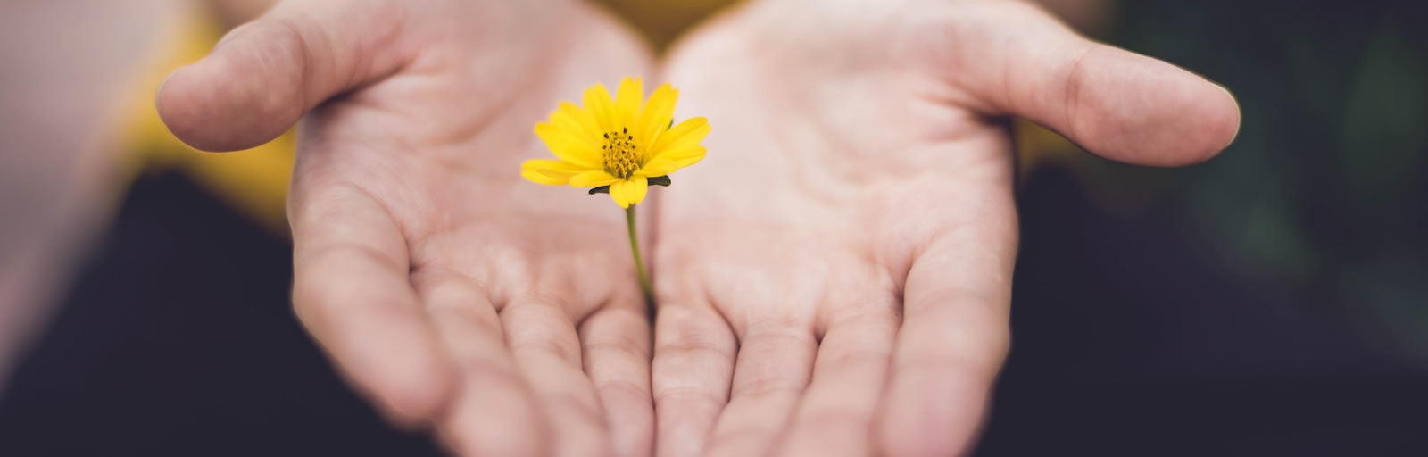 Healing Light, What is wellbeing? main photograph