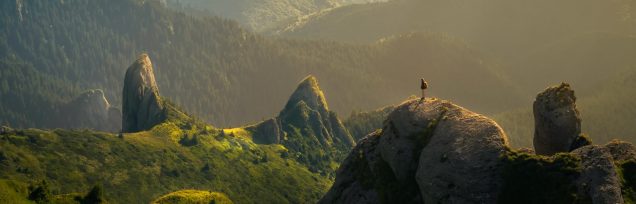 Healing Light, The Benefits of Spending Time in Nature for Enhancing Wellbeing, Main photograph