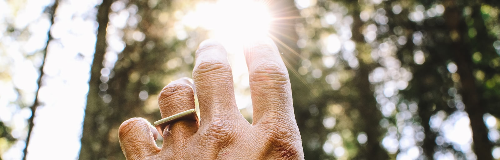 Healing Light, Healing and Energy Work in Psychic Readings, Main photograph