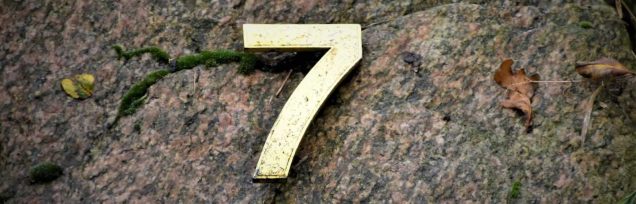 Healing Light, Unlocking Destiny: Unveiling Your Life's Journey Through Numerology, Main photograph
