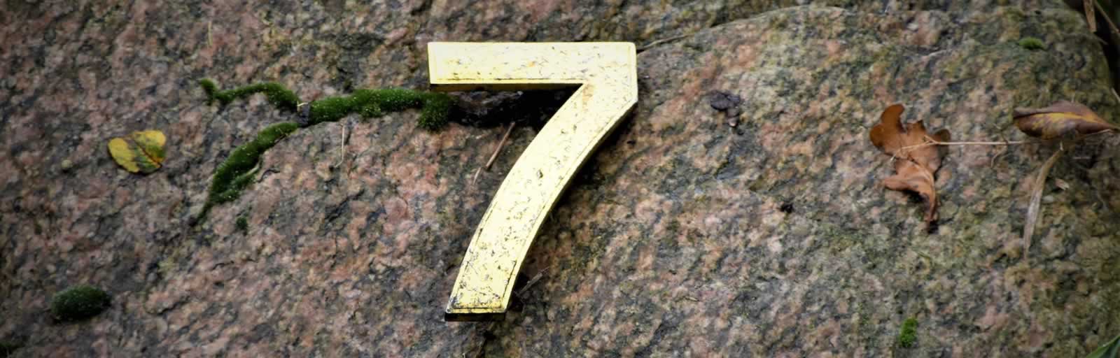Healing Light, Unlocking Destiny: Unveiling Your Life's Journey Through Numerology, Main photograph